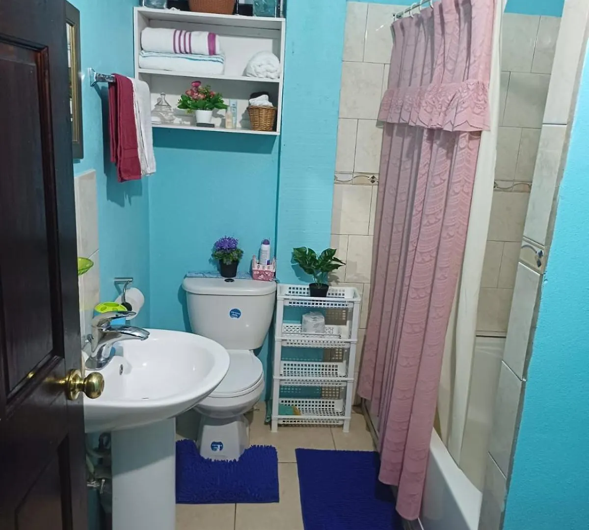 Free Pickup From Rodney Bay Marina Apartamento Gros Islet